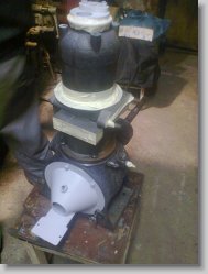 Snimek 47 * 1200 x 1600 * (226KB)